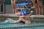 Swimming & Diving vs Babson  Swimming & Diving vs Babson College. - Photo by Keith Nordstrom : Wheaton, Swimming